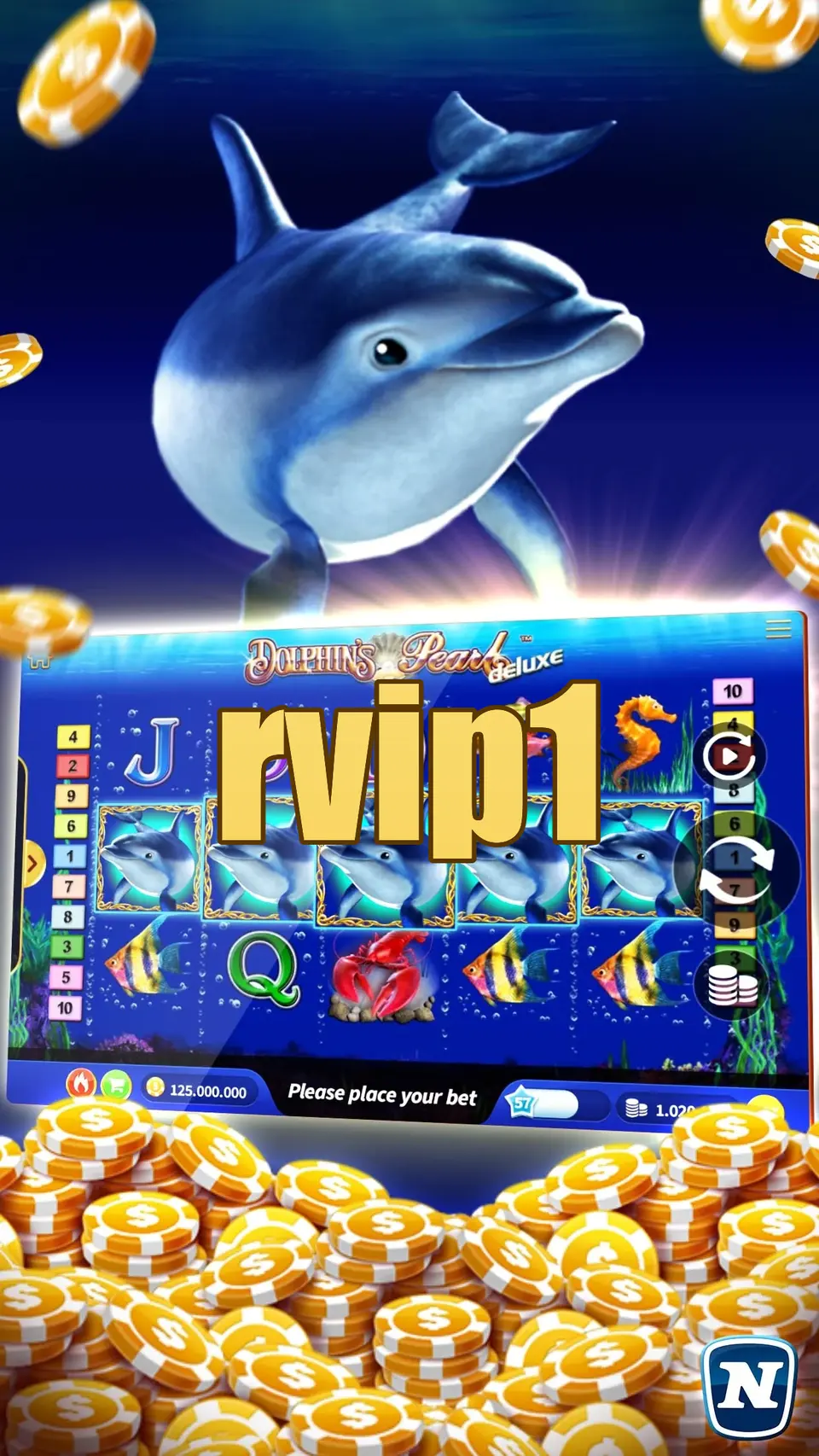 rvip1 Preview - Resmi Unduh